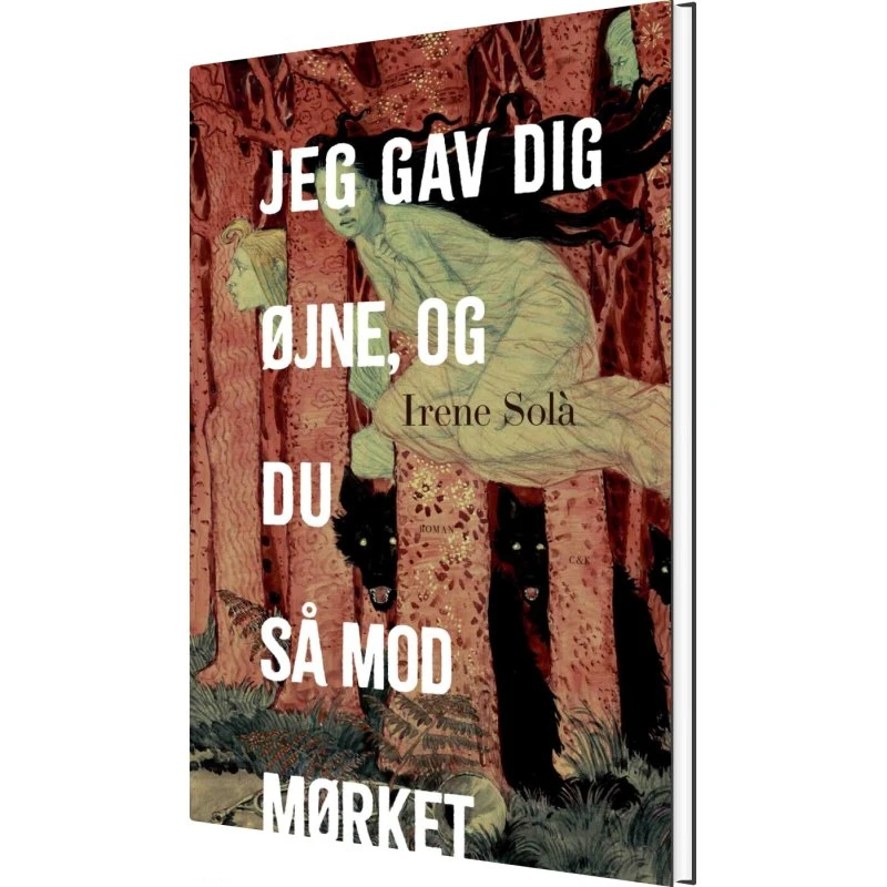 Jeg gav dig øjne, og du så mod mørket – Irene Solà (hardcover)