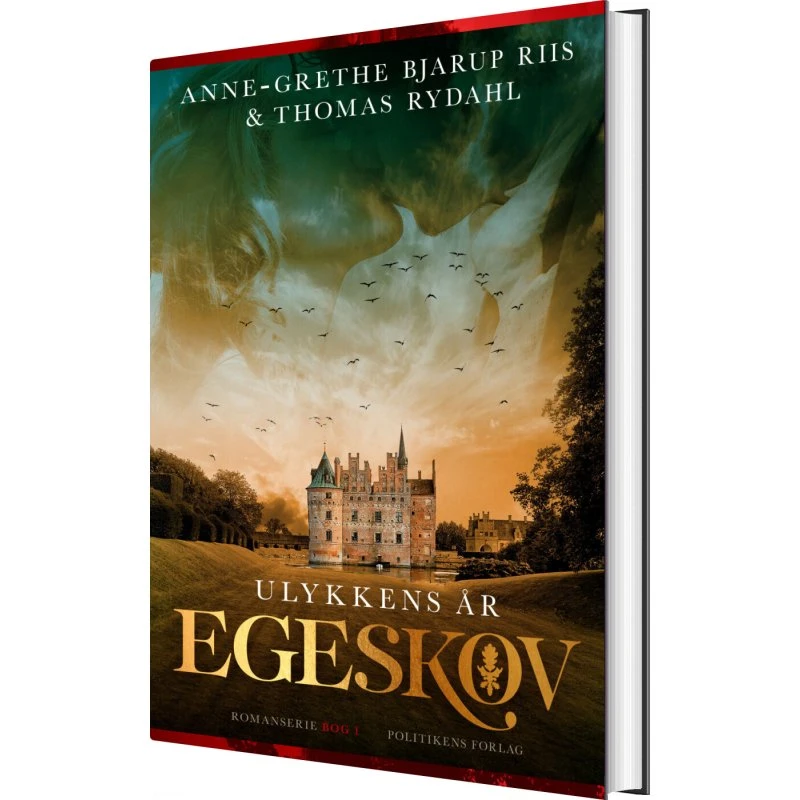 Ulykkens år – historisk roman af Anne-Grethe Bjarup Riis