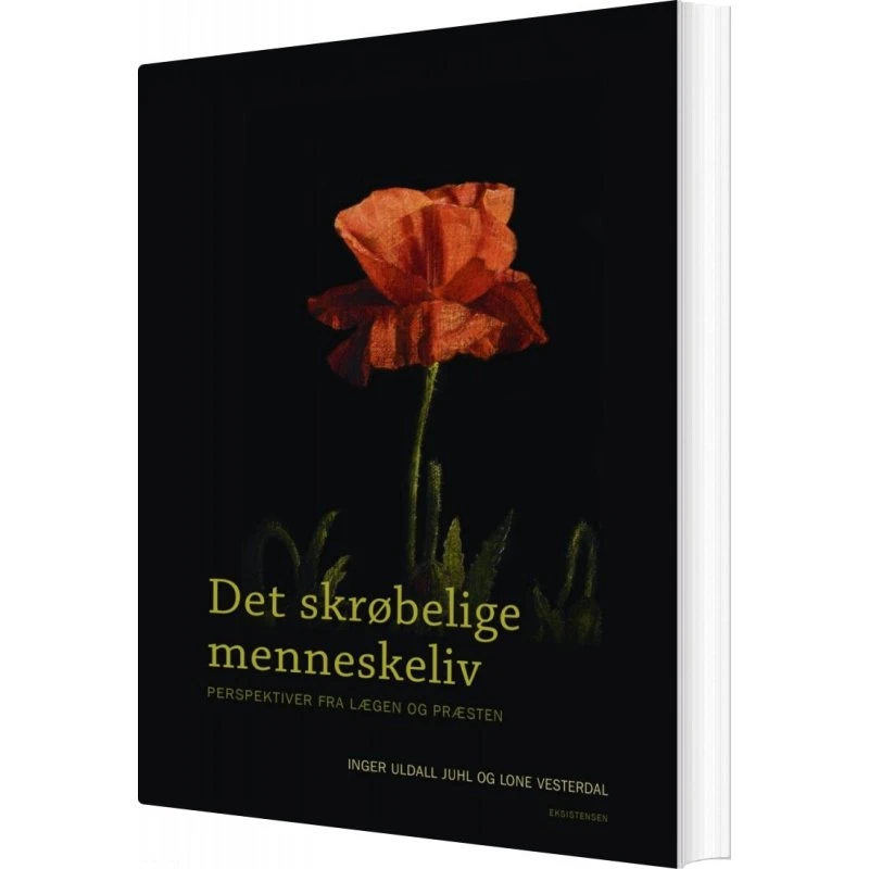 Det skrøbelige menneskeliv – perspektiver fra læge og præst