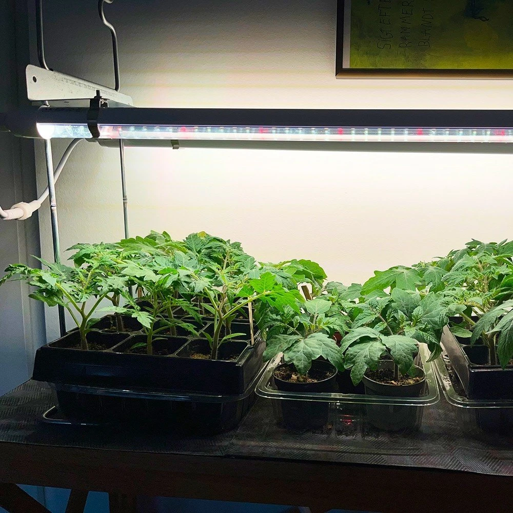 LEDlife Pro-Grow 2.0 Vækstsæt - 2 x 90 cm, 30W LED, Fuldt Spektrum