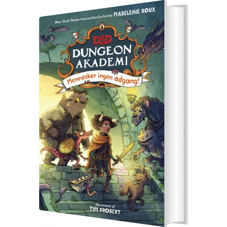 Dungeons & Dragons: Dungeon Akademi 1 – Mennesker