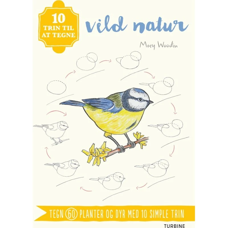 10 trin til at tegne vild natur – Mary Woodin