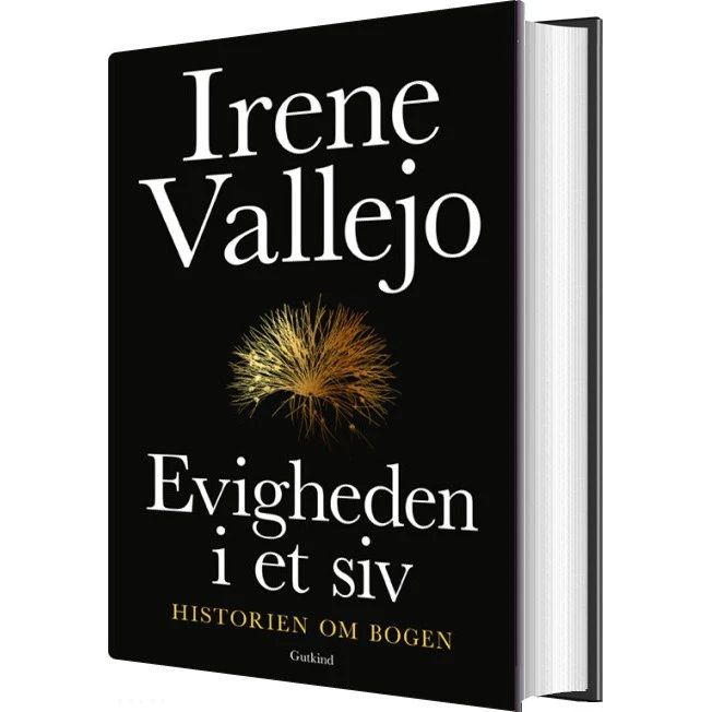 Evigheden i et siv – Irene Vallejo (hardback)
