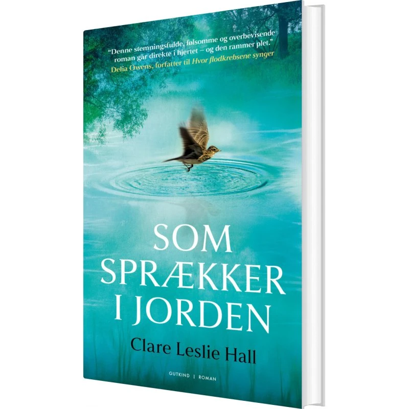 Som sprækker i jorden – Clare Leslie Hall (hardcover)