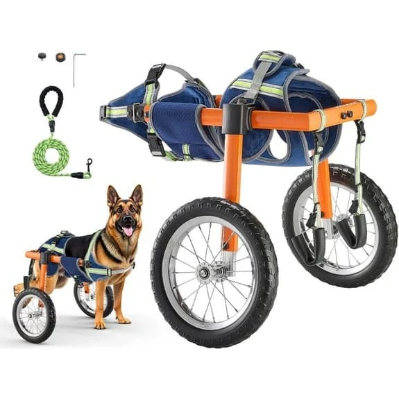 Hundekørestol til bagben - Letvægtsdesign, justerbar størrelse