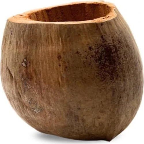 BioCoco Pot Kokospotte til Epiphyte orkideer, 18 cm