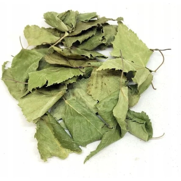 Hele Sølvbirkeblad (Betulae folium) 1 kg - 100% Naturlig
