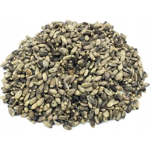 Marietidsel Marietidselfrø 1 kg - 100% naturlig