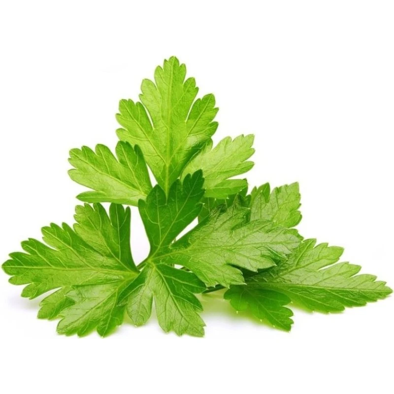 Click & Grow Smart Garden Refill 3-pack – Koriander