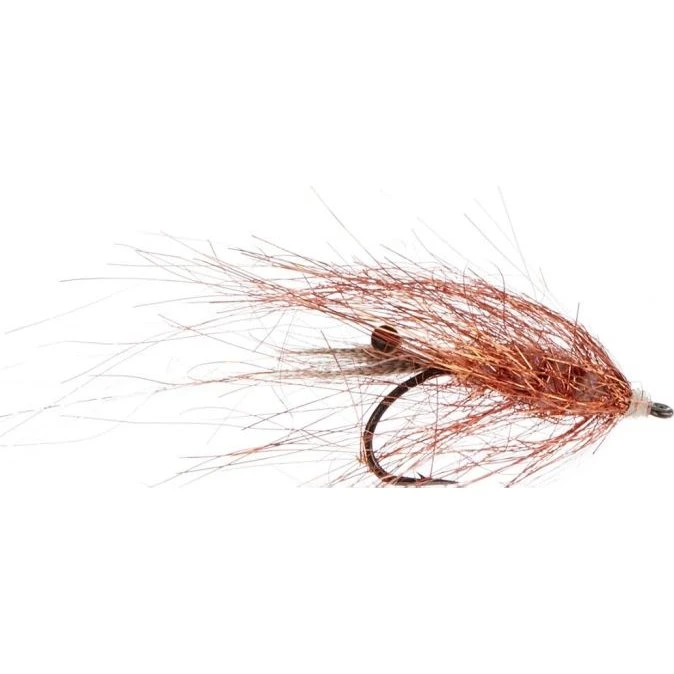 A. Jensen Copper Shrimp