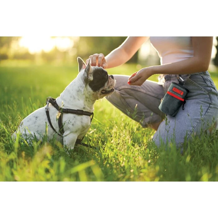 KONG Treat Bag - Godbidstaske 13,5 x 12,5 cm