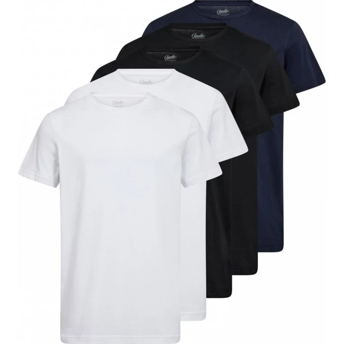 Claudio 5-pak T-shirt i multi farver til herre