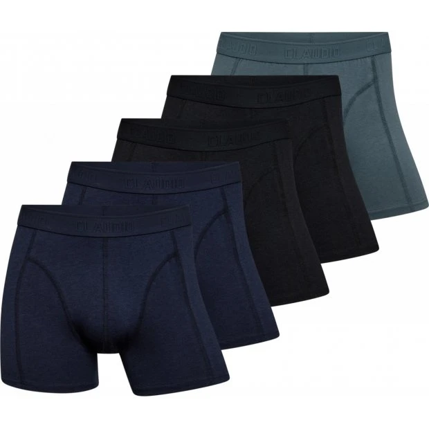 Claudio 5-pak bambusunderbukser i blandede farver, XL