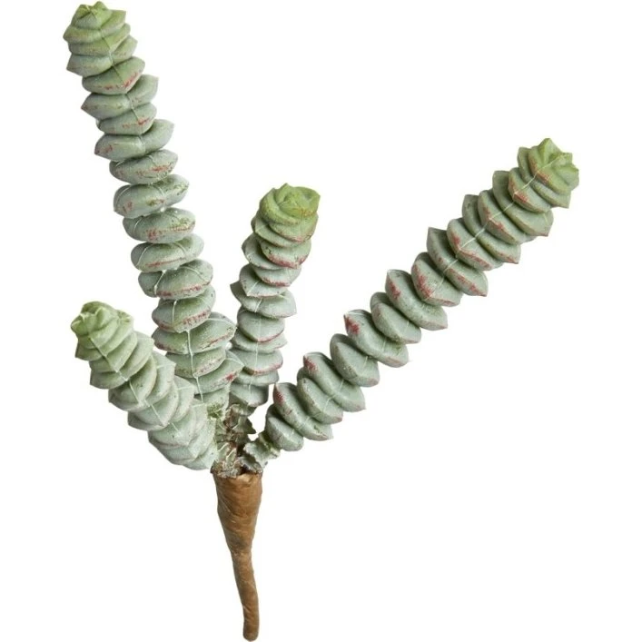Speedtsberg Kunstig Sukkulent 4-gren, 15 cm