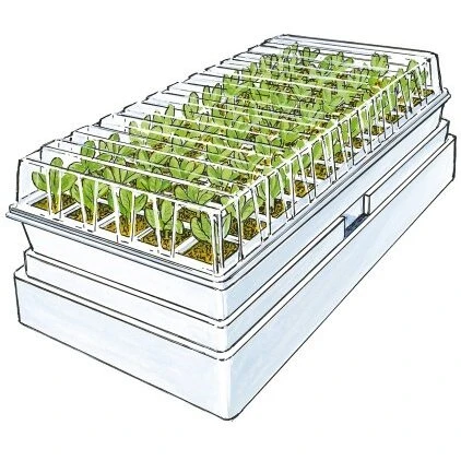 Pindstrup Minikap minidrivhus selvvandende til 60 planter