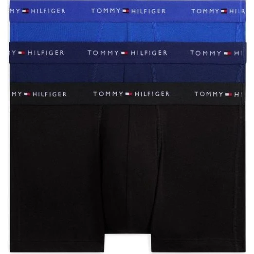 3P TRUNK DTM