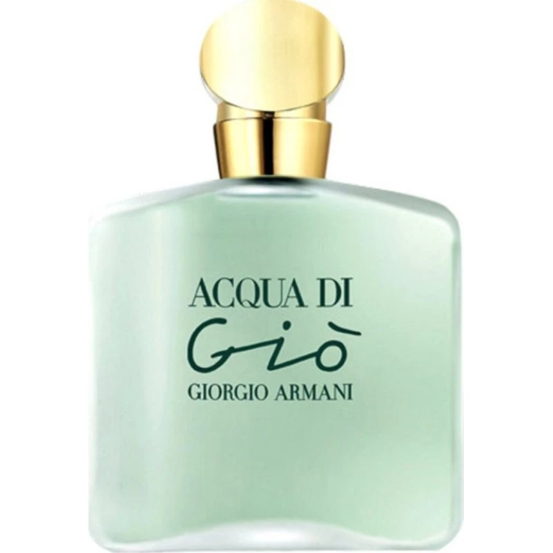 Giorgio Armani Acqua di Gio Eau de Toilette 100 ml
