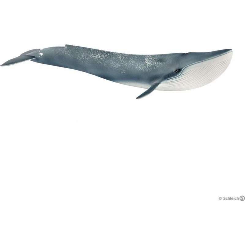 Schleich Blåhval - realistisk håndmalet figur