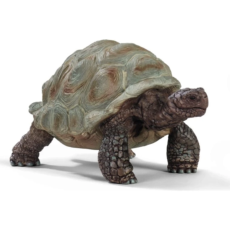 Schleich WILD LIFE Kæmpeskildpadde - Legetøjsfigur