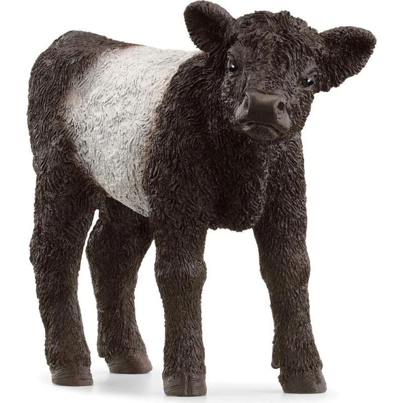 Schleich Galloway-kalv - realistisk legetøjsfigur