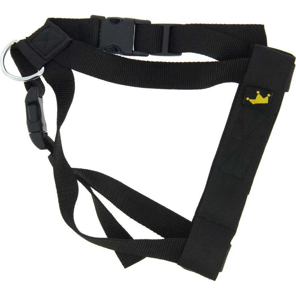 Animals & Car Sikkerhedssele til hund, Medium (op til 25 kg)