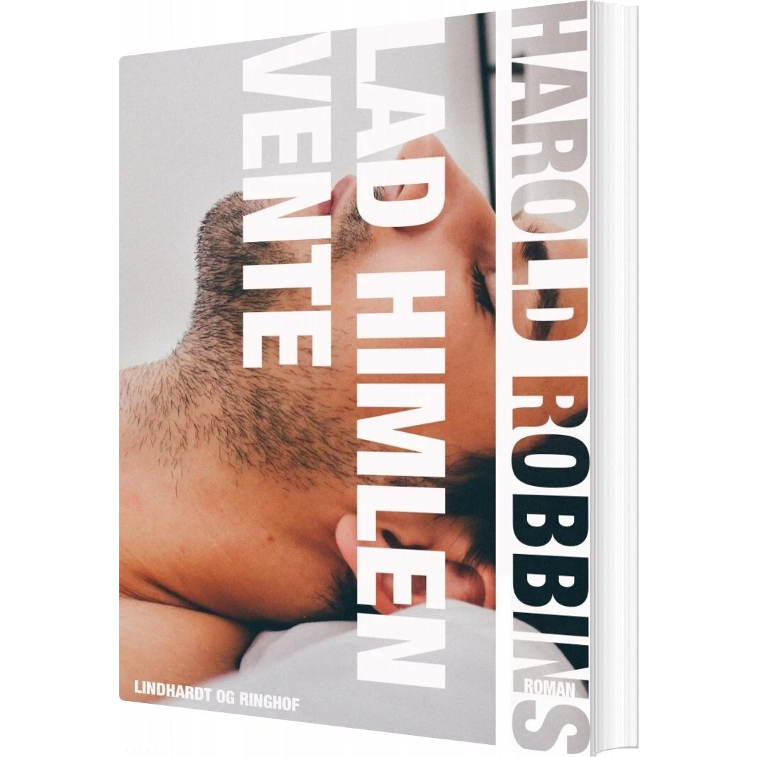 Harold Robbins: Lad Himlen Vente - Saga (Bog)