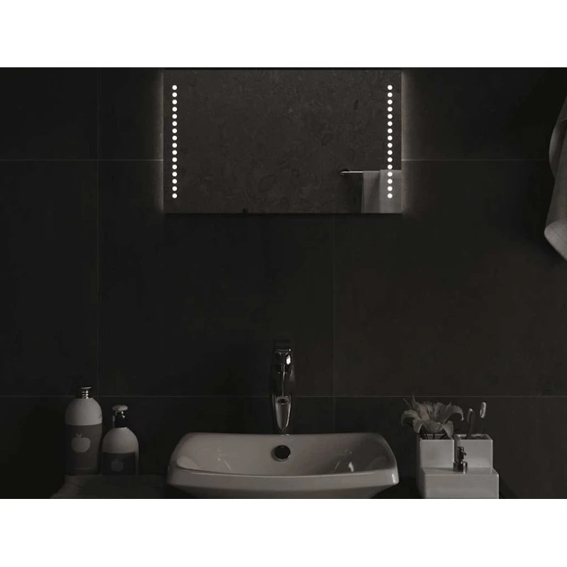 LED badeværelsesspejl 50x30 cm IP65 med USB