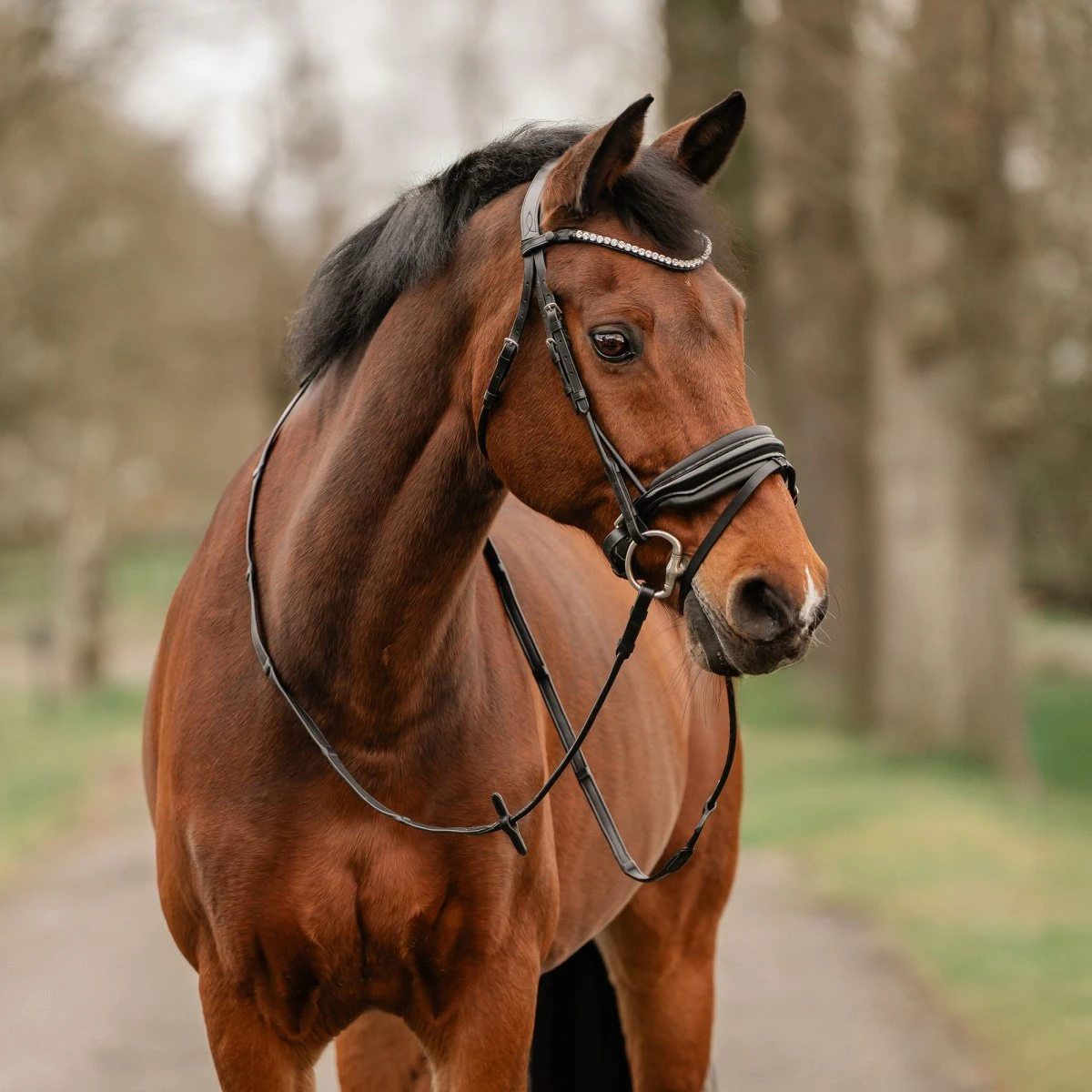 Horka Filius Rundsyet Trense Cob - Sort