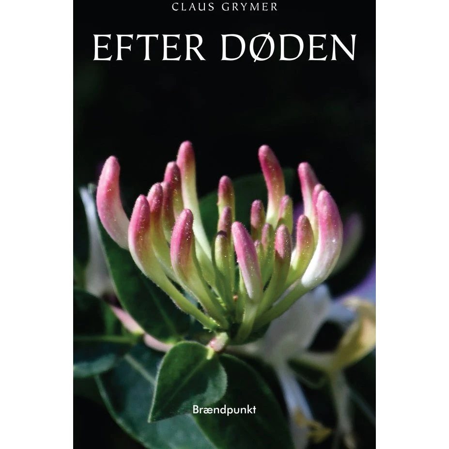 Efter døden - Claus Grymer - Digtsamling