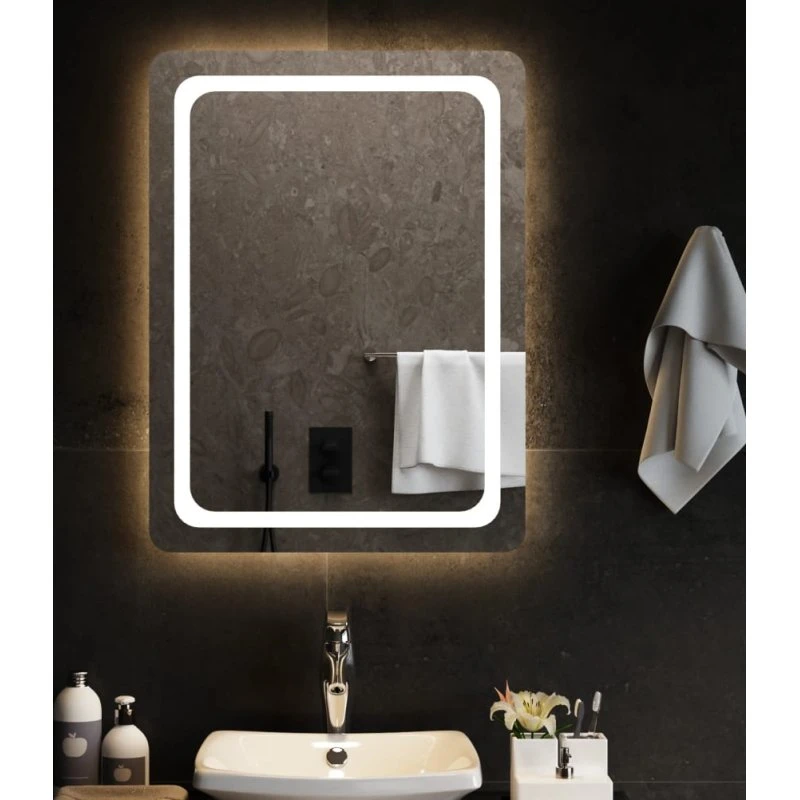 Badeværelsesspejl LED 60x80 cm med USB & IP65