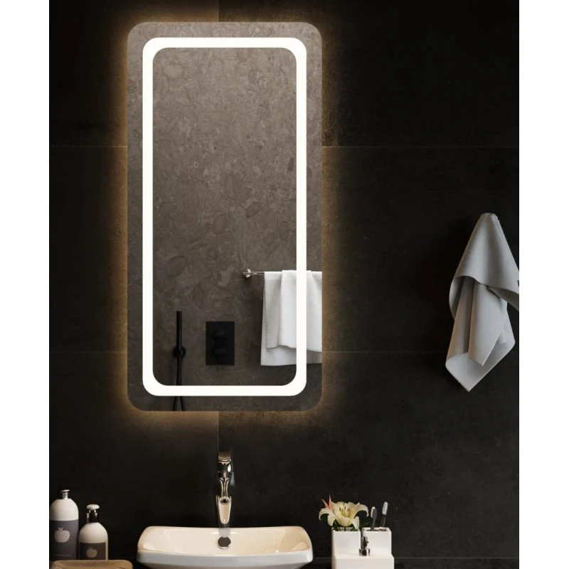 LED badeværelsesspejl 50x100 cm med USB og IP65