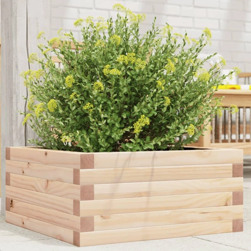Plantekasse i massivt fyrretræ 50x50x23 cm