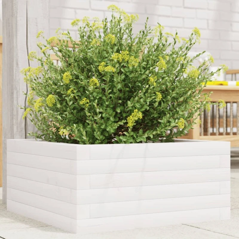 Plantekasse i massivt fyrretræ 50x50x23 cm – hvid