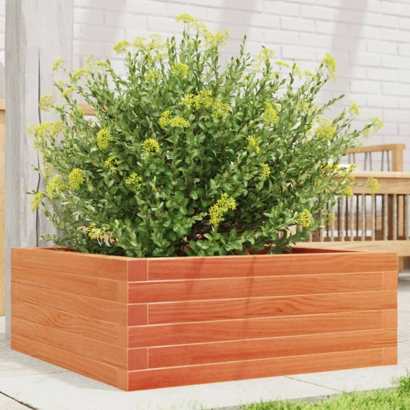Plantekasse i massivt fyrretræ 60×60×23 cm - gyldenbrun