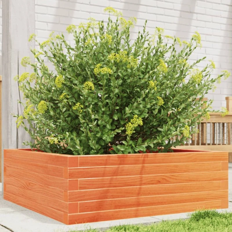 Plantekasse i massivt fyrretræ 70x70x23 cm, gyldenbrun