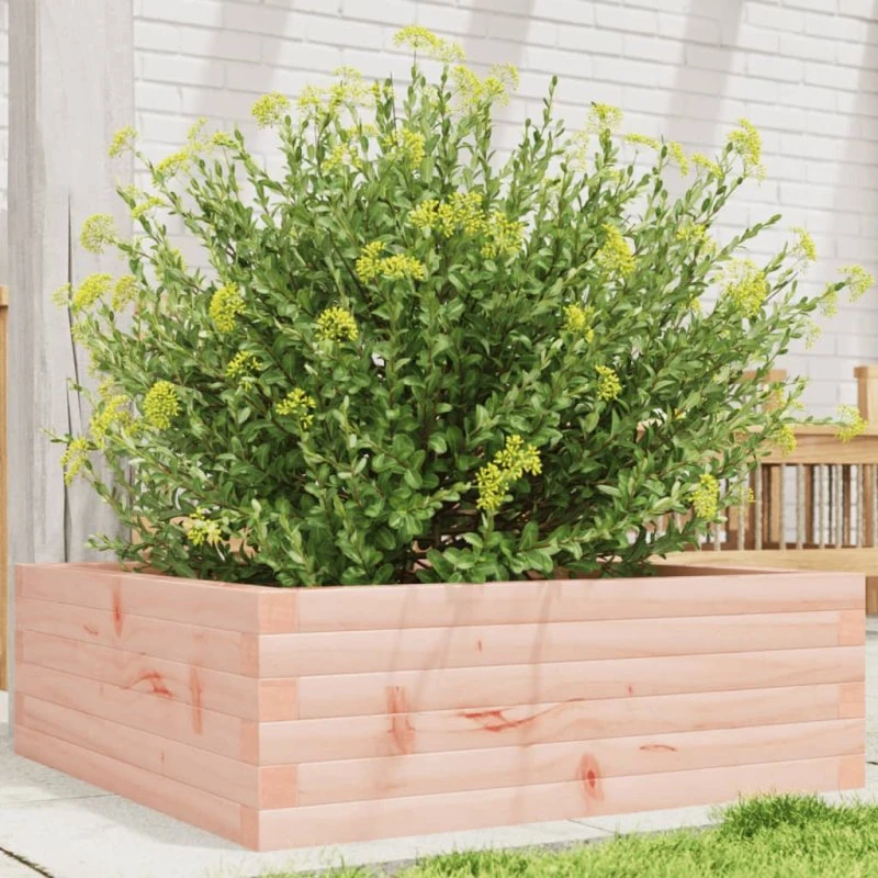 Plantekasse i massivt douglasgran 70x70x23 cm