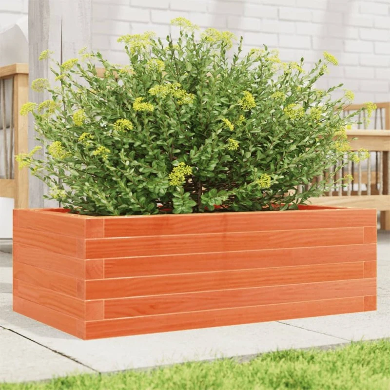 Plantekasse i massivt fyrretræ 70x40x23 cm – gyldenbrun