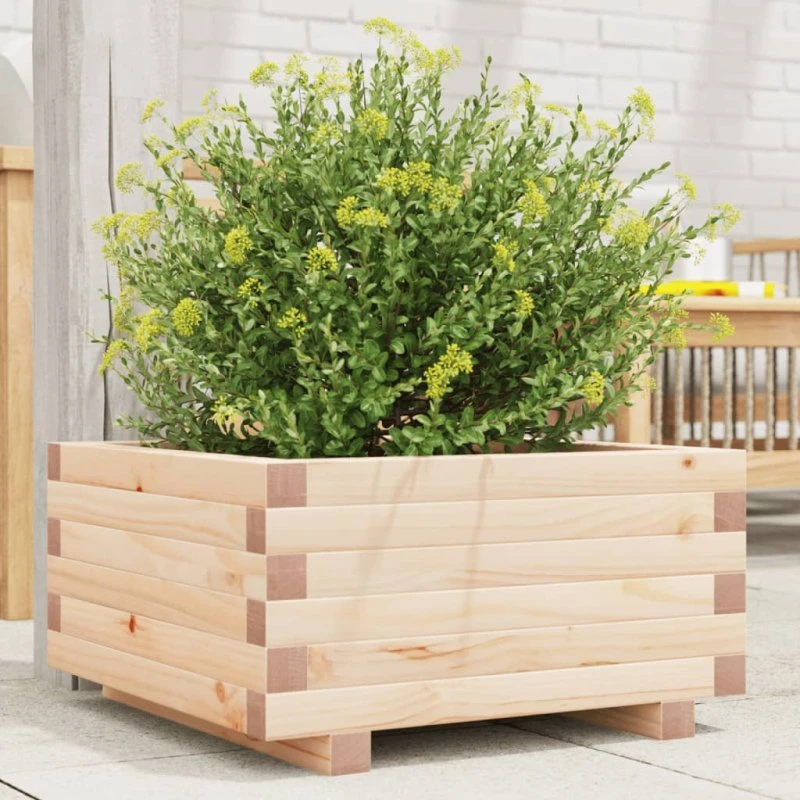 Plantekasse i massivt fyrretræ 50×50×26,5 cm