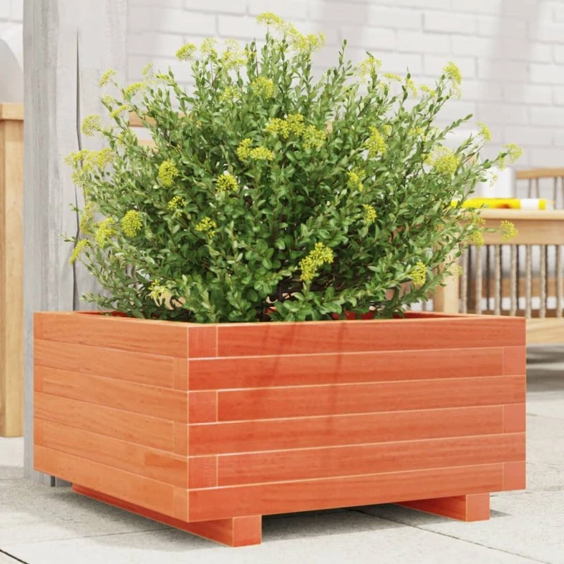 Plantekasse i massivt fyrretræ 50x50x26,5 cm - gyldenbrun
