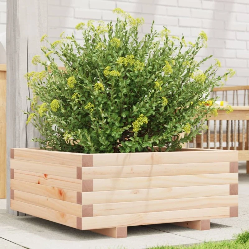 Plantekasse i massivt fyrretræ 60×60×26,5 cm