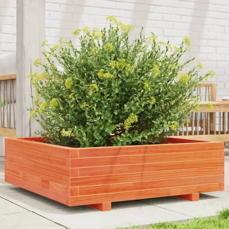 Plantekasse i massivt fyrretræ 80x80x26,5 cm - gyldenbrun