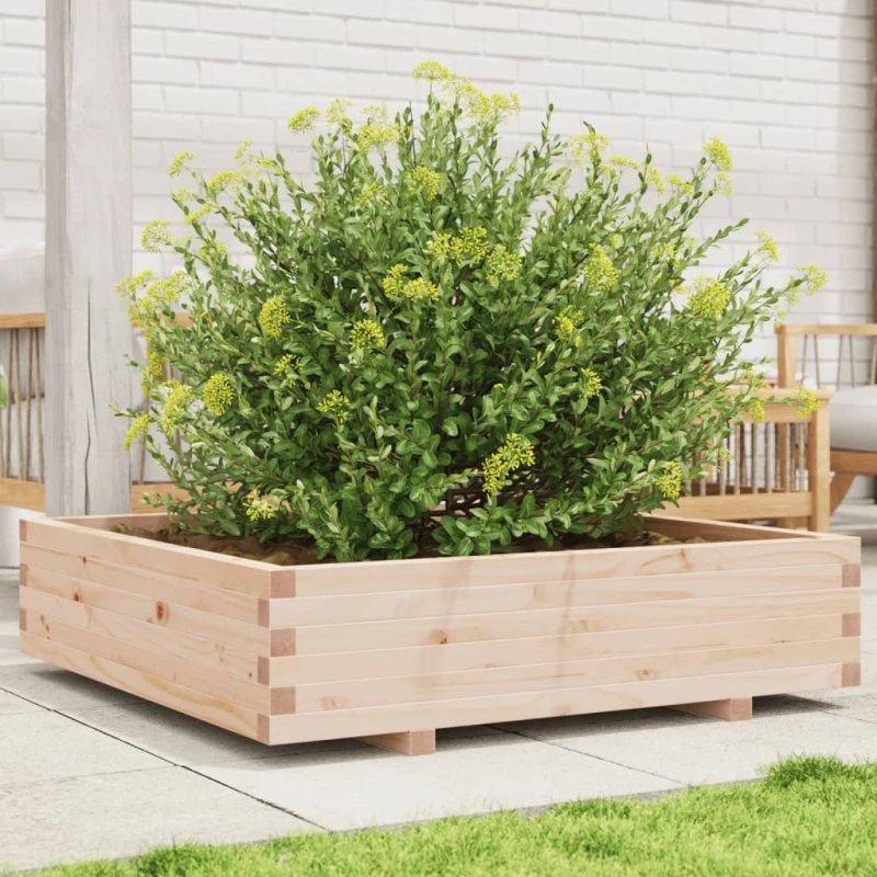 Plantekasse i massivt fyrretræ 100x100x26,5 cm