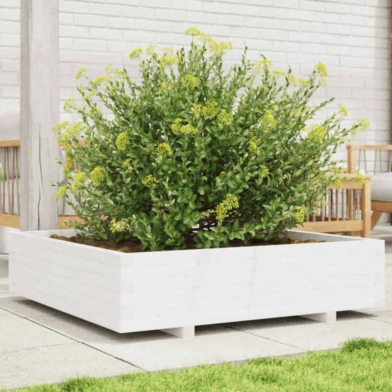 Plantekasse 100x100x26,5 cm - massivt fyrretræ, hvid