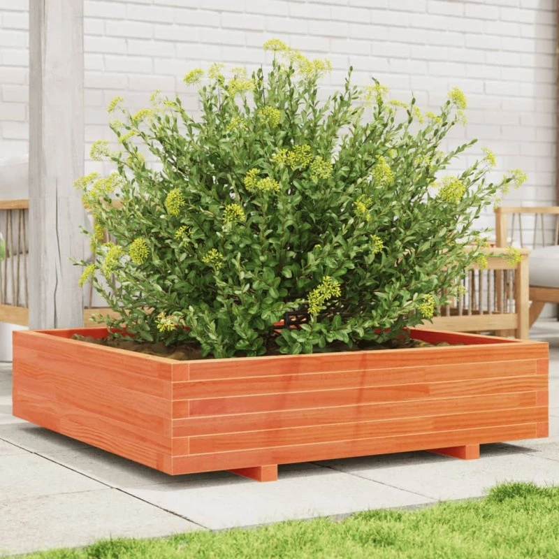 Plantekasse i massivt fyrretræ 100x100x26,5 cm - gyldenbrun