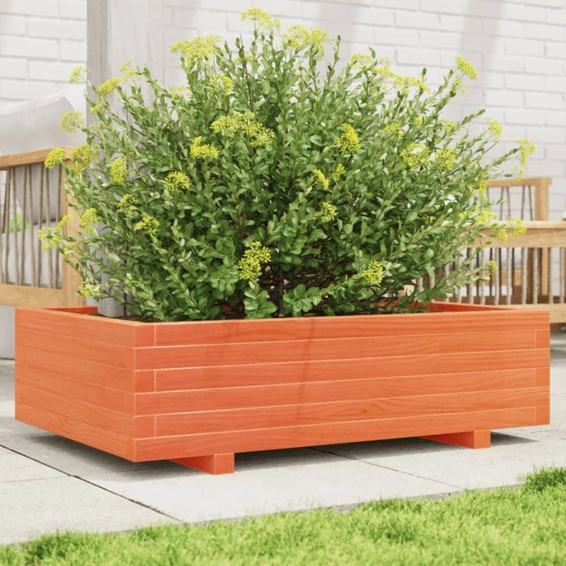 Plantekasse i massivt fyrretræ 90x60x26,5 cm – gyldenbrun