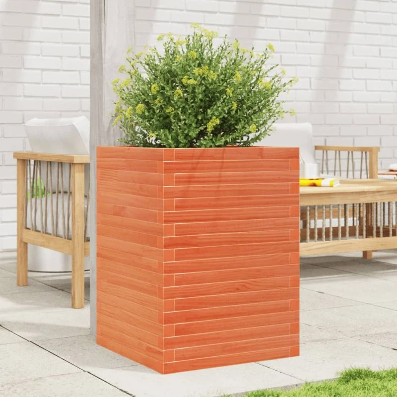 Plantekasse i massivt fyrretræ 50x50x68,5 cm – gyldenbrun