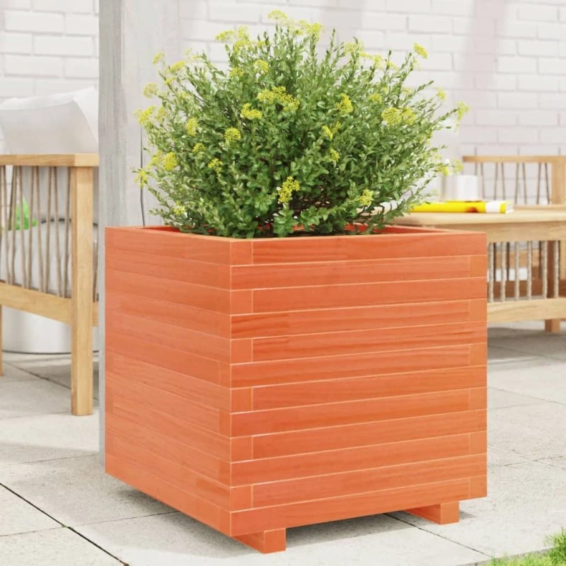 Plantekasse i massivt fyrretræ 50x50x49,5 cm - gyldenbrun