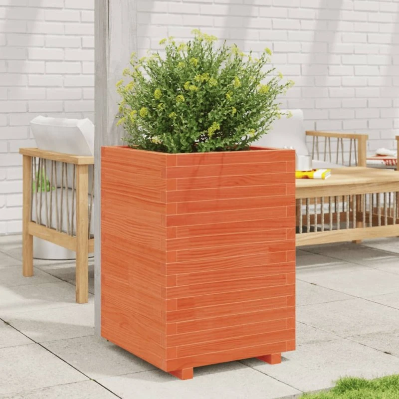 Plantekasse i massivt fyrretræ 50x50x72,5 cm – gyldenbrun
