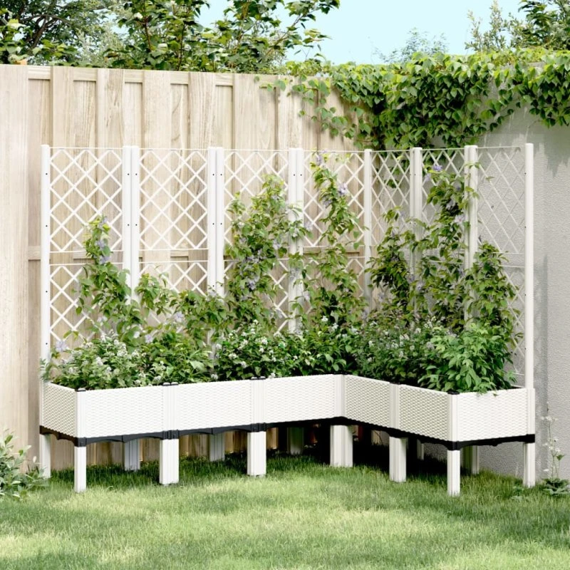 Plantekasse med espalier 160x120x142 cm - Hvid PP
