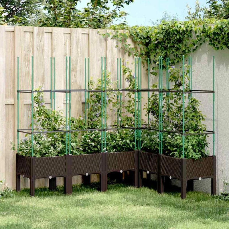 Plantekasse med espalier 160x120x142,5 cm – brun (PP)